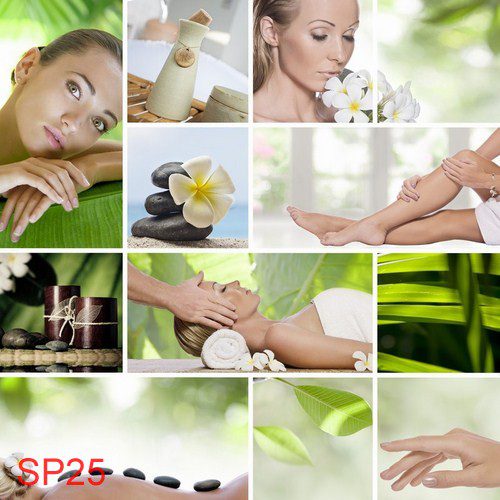 SP25