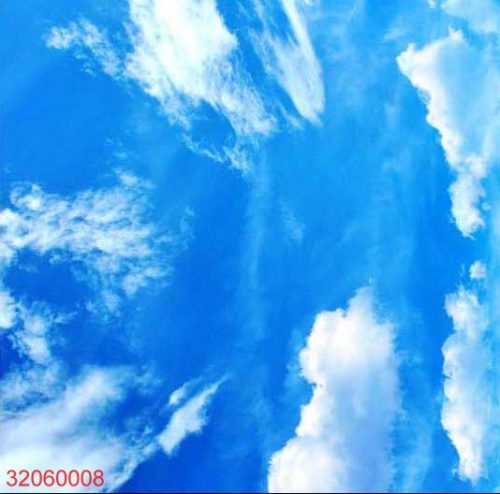 32060008